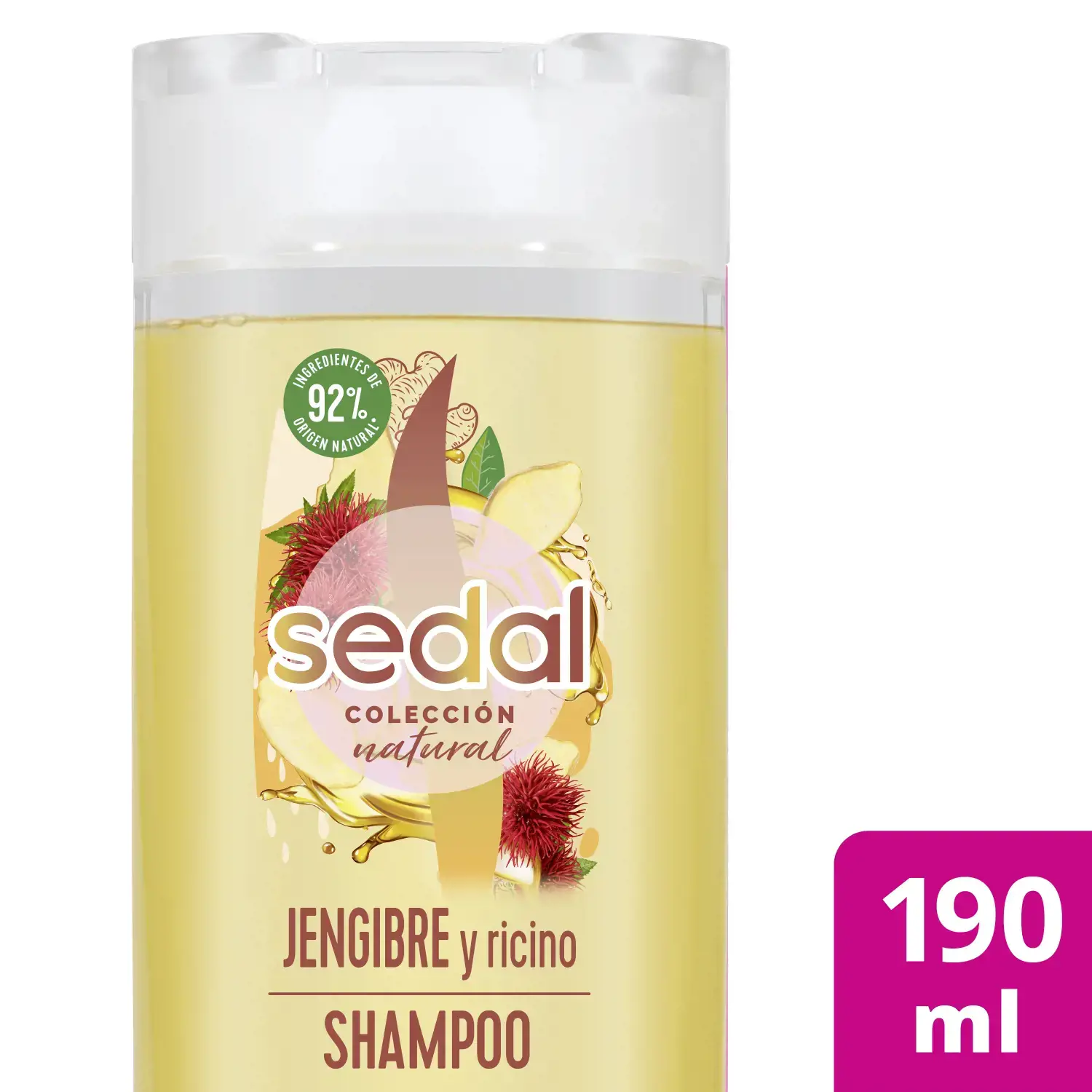 SEDAL SHA X190 JENGIBRE RICINO-7829